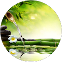 chethan kalose profile picture